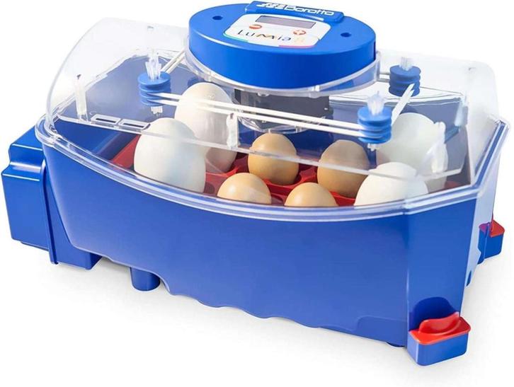 Borotto Lumia 8 met automatisch keersysteem, Dieren en Toebehoren, Pluimvee | Toebehoren, Nieuw, Broedmachine, Ophalen of Verzenden