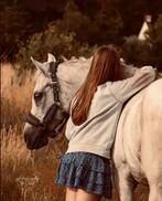 Golden Horse à vendre ! ! !, Animaux & Accessoires, Cheval de dressage, Avec pedigree, 11 ans ou plus, Hongre