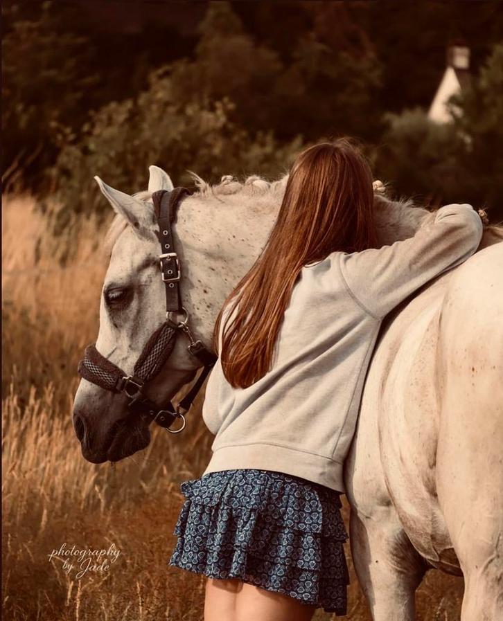 Golden Horse à vendre ! ! !, Animaux & Accessoires, Chevaux, Hongre, Débourré, Moins de 160 cm, 11 ans ou plus, Cheval de dressage