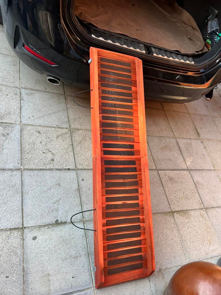 Rampe pour chien, Animaux & Accessoires, Accessoires pour chiens, Enlèvement, Comme neuf