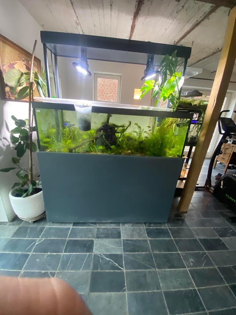 800 liter aquarium, Ophalen, Zo goed als nieuw
