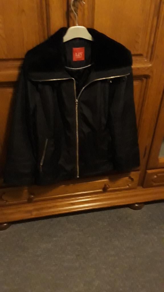 zwarte dames winterjas maat 38, Kleding | Dames, Jassen | Winter, Ophalen of Verzenden, Zo goed als nieuw, Maat 38/40 (M), Zwart