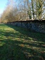 Brandhout, 6 m³ ou plus, Enlèvement, Hêtre, Troncs d'arbres