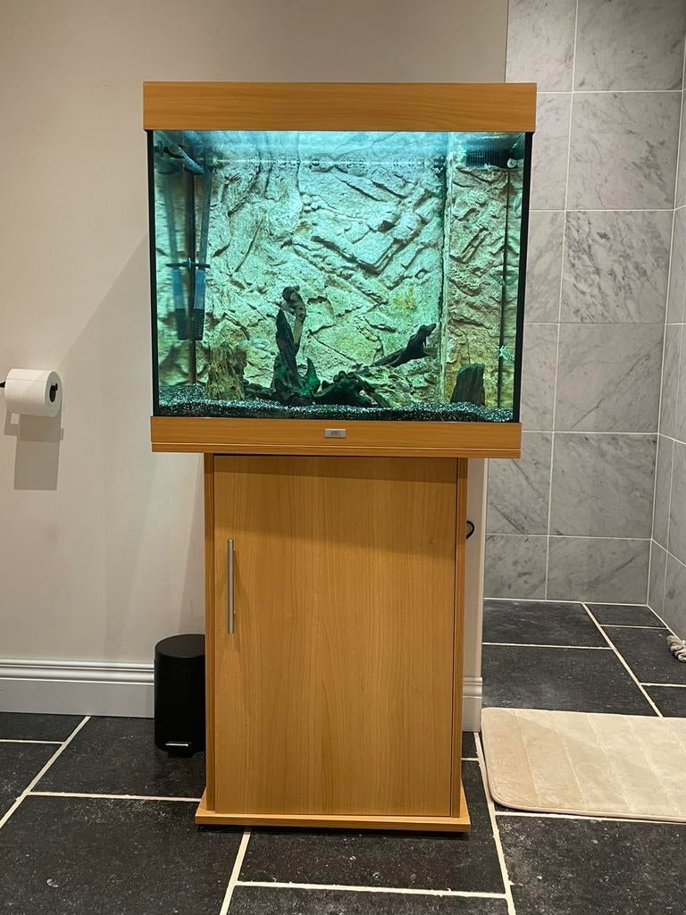 juwel lido aquarium 200 liter + buiten en binnen filter, Dieren en Toebehoren, Ophalen, Pomp, Filter, Juwel