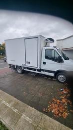 Iveco 35c12 frigorifique, Autos, Entreprise, Achat, Iveco