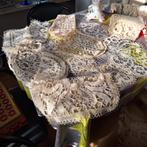 Kantwerk, Antiek en Kunst, Ophalen