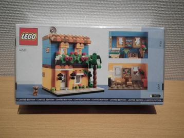 Lego Huis van de Wereld 1 (gelimiteerde editie) 40583 beschikbaar voor biedingen