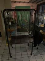Grote Papegaaienkooi – stevige kwaliteit, mét accessoires, Ophalen, Zo goed als nieuw, Metaal