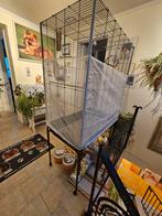 Cage à oiseaux.  Perruches, Enlèvement ou Envoi