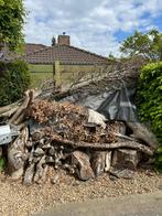 Brandhout notelaar te koop, Tuin en Terras, Brandhout, Ophalen