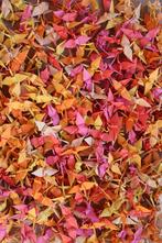 Papieren origami kraanvogels, Enlèvement, Comme neuf, Bricolage