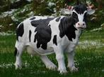 Koe met Hoorns - L - Polystone - Gedetailleerd, Nieuw, Ophalen of Verzenden