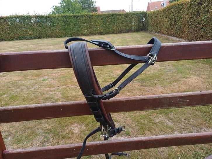 Van Der Wiel, 2 span getuig, uitstekende staat. Compleet., Dieren en Toebehoren, Paarden en Pony's | Hoofdstellen en Tuigage, Zo goed als nieuw