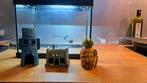 Superfish 20L aquarium + accesoires, Dieren en Toebehoren, Vissen | Aquaria en Toebehoren, Zo goed als nieuw, Ophalen