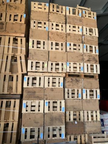 houten kratjes/kistjes beschikbaar voor biedingen