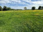weide te huur voor paarden in Oud-Turnhout, Weidegang