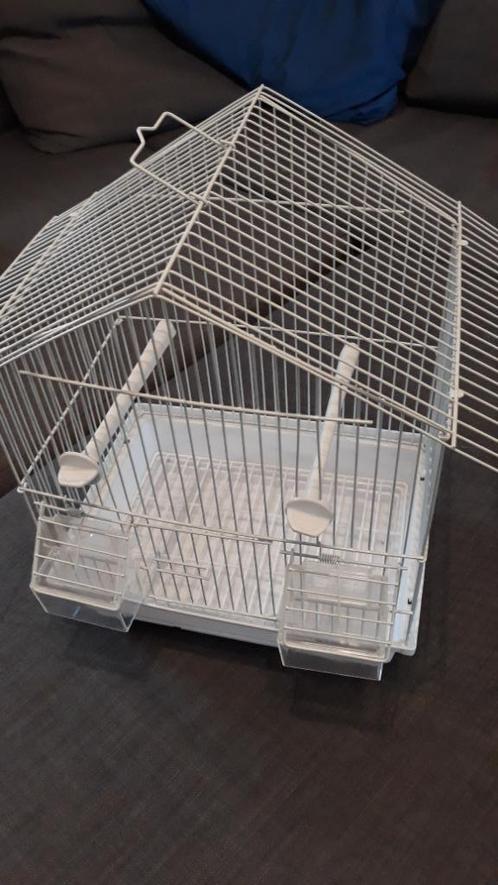 Cage canaris, Animaux & Accessoires, Autres accessoires pour animaux, Comme neuf, Enlèvement