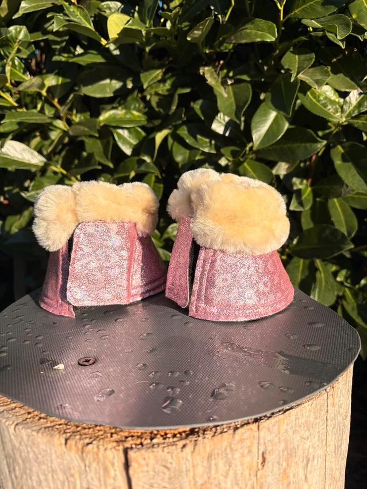 Paardenspullen te koop, Dieren en Toebehoren, Paarden, Niet van toepassing