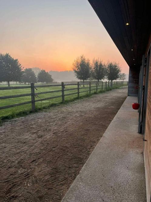 Volpension Kampenhout, Dieren en Toebehoren, Stalling en Weidegang, Weidegang