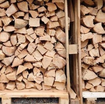 Brandhout, promoprijs vandaag 6 maart geleverd beschikbaar voor biedingen