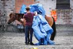 Horsemanship trainer aangeboden, Dieren en Toebehoren, Zadelmak