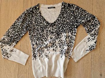 Mooie trui in leopard beschikbaar voor biedingen