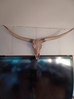 Skull decoratie 1m70 lang moet weg, Huis en Inrichting, Ophalen of Verzenden, Zo goed als nieuw