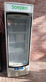 Diepvries kast 195x67x60 inhoud 482 liter, Zakelijke goederen, Ophalen, Diepvries