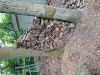 brandhout droog. Eik met een beetje beuk. Ongeveer 1 kubieke, Tuin en Terras, Brandhout, Ophalen