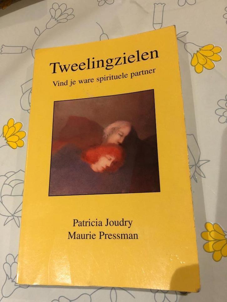 Tweelingzielen, Boeken, Esoterie en Spiritualiteit, Zo goed als nieuw, Achtergrond en Informatie, Ziel of Sterfelijkheid, Ophalen of Verzenden