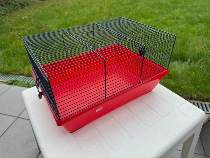 Rode plastic hamsterkooi, Dieren en Toebehoren, Knaagdieren en Konijnen | Hokken en Kooien, Zo goed als nieuw, Kooi, Minder dan 60 cm
