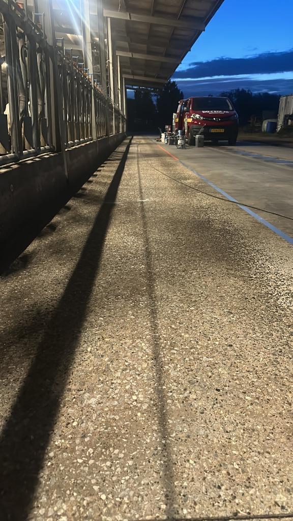 renoveren van Voedergoten en maken van Melkstalvloeren, Dieren en Toebehoren, Runderen