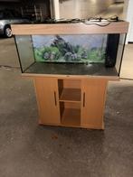 Aquarium Juwel Rio, 180, Dieren en Toebehoren, Ophalen of Verzenden, Zo goed als nieuw