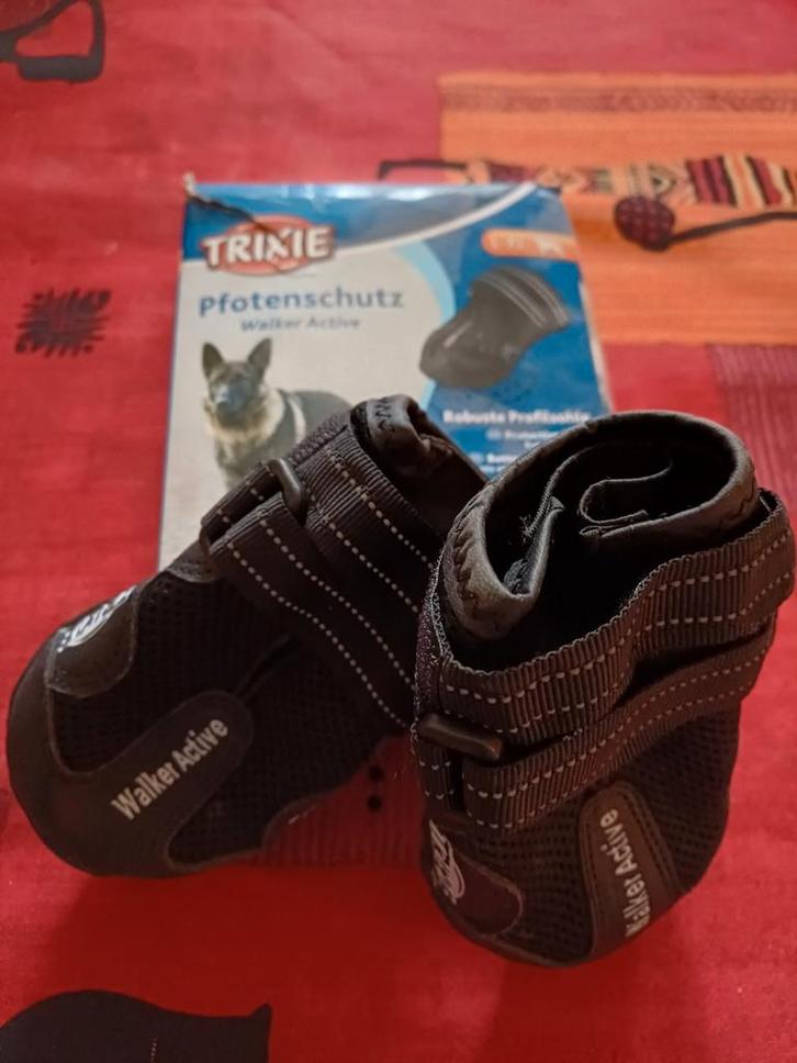 Protection des pattes de chien, Animaux & Accessoires, Accessoires pour chiens, Neuf, Enlèvement ou Envoi