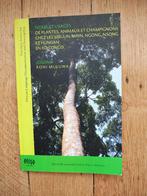 Plantes animaux champignons rites traitement Congo, KONI MULUWA J., Utilisé, Envoi, 20e siècle ou après