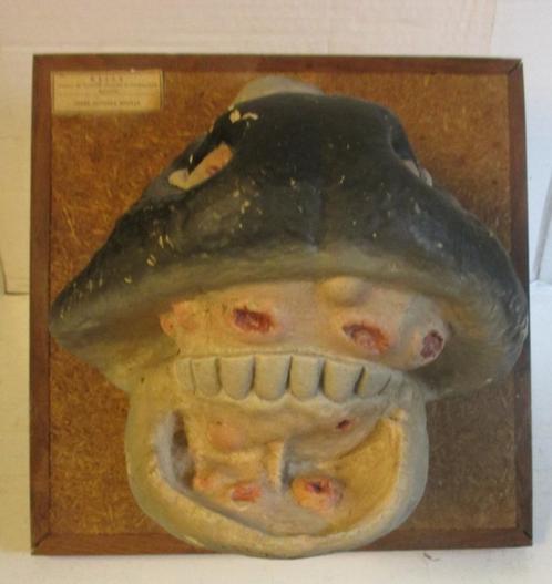 antiek didactisch model paard ziek gebit paarden tanden, Antiek en Kunst, Curiosa en Brocante, Verzenden
