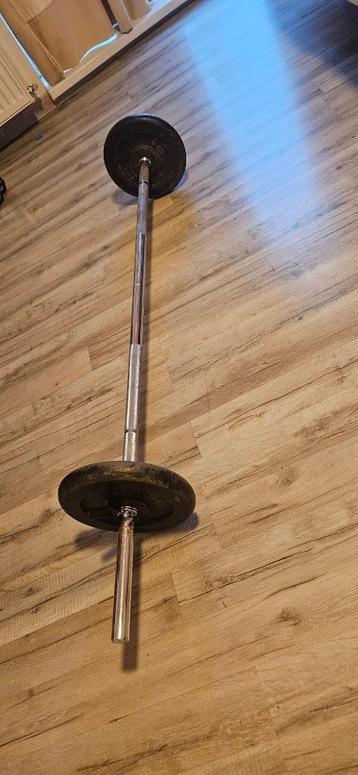 halterstang (6kg) en 20kg gewichten beschikbaar voor biedingen