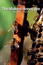 2 euro Malta 2024 De Maltese Bij, Ophalen of Verzenden, Malta, 2 euro