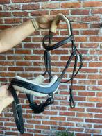 Hoofdstel QHP, Ophalen of Verzenden, Gebruikt, Recreatie