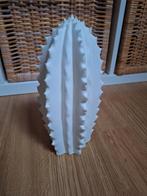 Witte stenen cactus, Ophalen