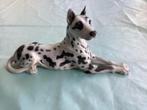 Dalmatiër royal danish, Ophalen of Verzenden
