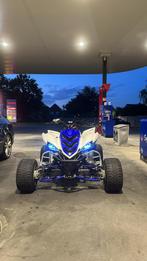 Yamaha raptor