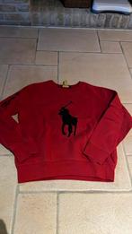 Pull polo Ralph lauren xs of xl kinderen, Kleding | Heren, Truien en Vesten, Ophalen of Verzenden, Zo goed als nieuw