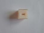 Gouden bedel met zilver steentje, Ophalen of Verzenden, Zo goed als nieuw, Goud