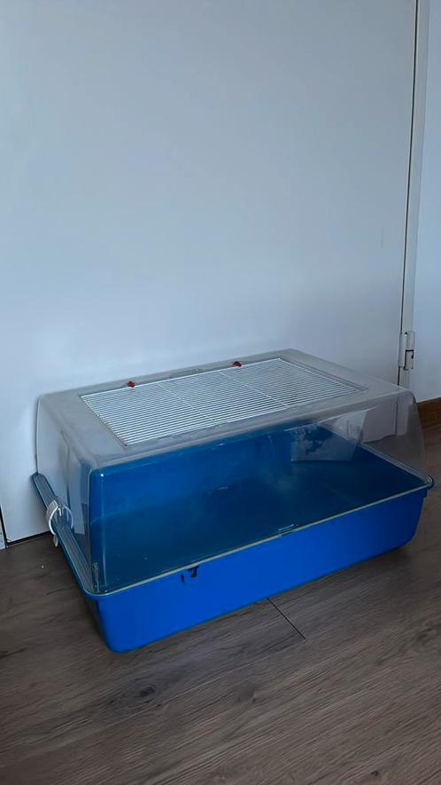 Ferplast Hamster/Muizenkooi Duna Multy, Dieren en Toebehoren, Knaagdieren en Konijnen | Hokken en Kooien, Zo goed als nieuw, Kooi