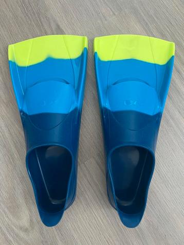 Zoomers - korte flippers beschikbaar voor biedingen