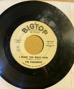 The Parkiets  I Want You Right Now Northern soul Popcorn, Gebruikt, 7 inch, Single, Ophalen of Verzenden