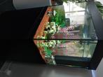 JUWEL Lido 200 LED zwart aquarium, Gebruikt, Ophalen, Leeg aquarium