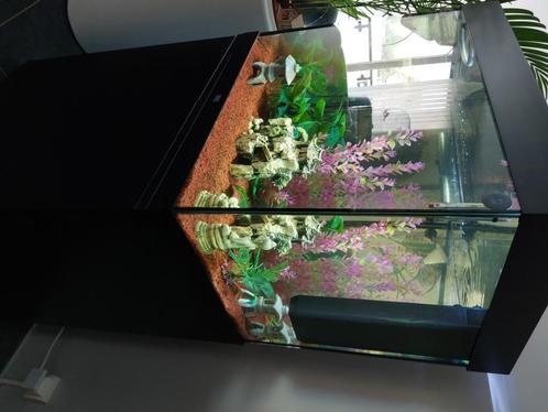 Aquarium JUWEL Lido 200 LED Noir, Animaux & Accessoires, Poissons | Aquariums & Accessoires, Utilisé, Aquarium vide, Enlèvement