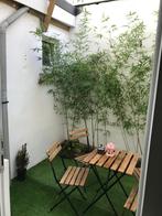 Volledige huis - voor expats, 8 kamers